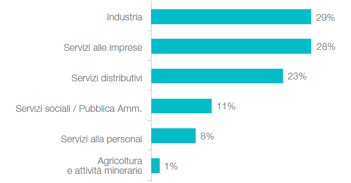 settore di attività