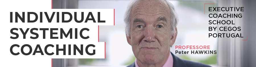 individual systemic coaching